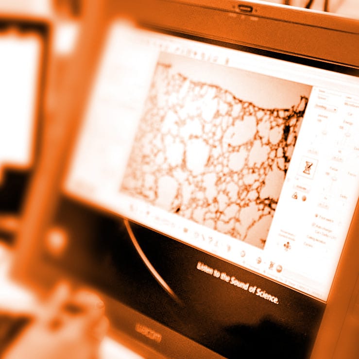 science iqos_research long_term_studies upper_image_alt