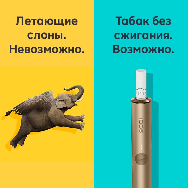 Картинка с летящим слоном и держателем IQOS ILUMA